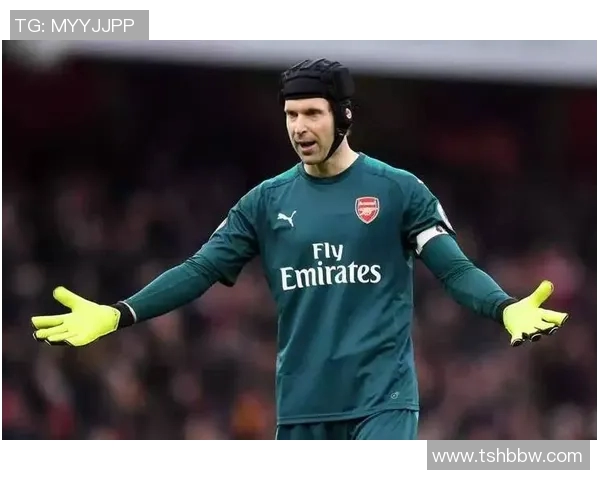 切赫与诺伊尔的巅峰对决谁是足球历史上最伟大的门将