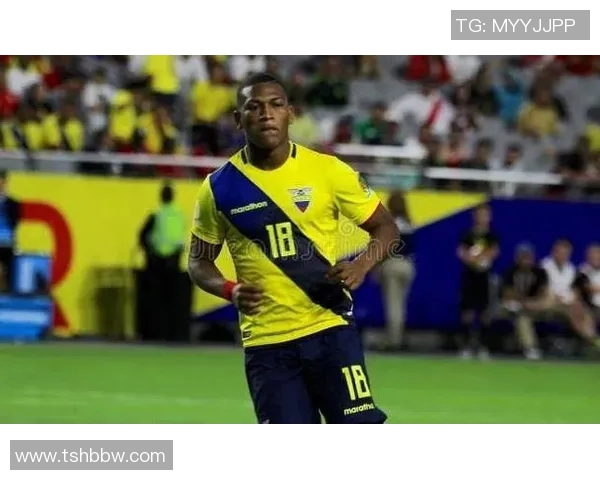 厄瓜多尔与智利对决谁能赢得比赛胜利分析与预测