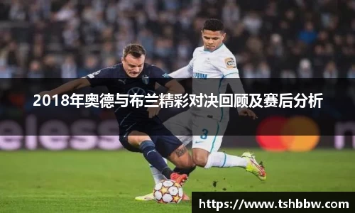哈哈体育官方app