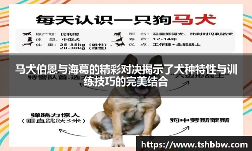 哈哈体育