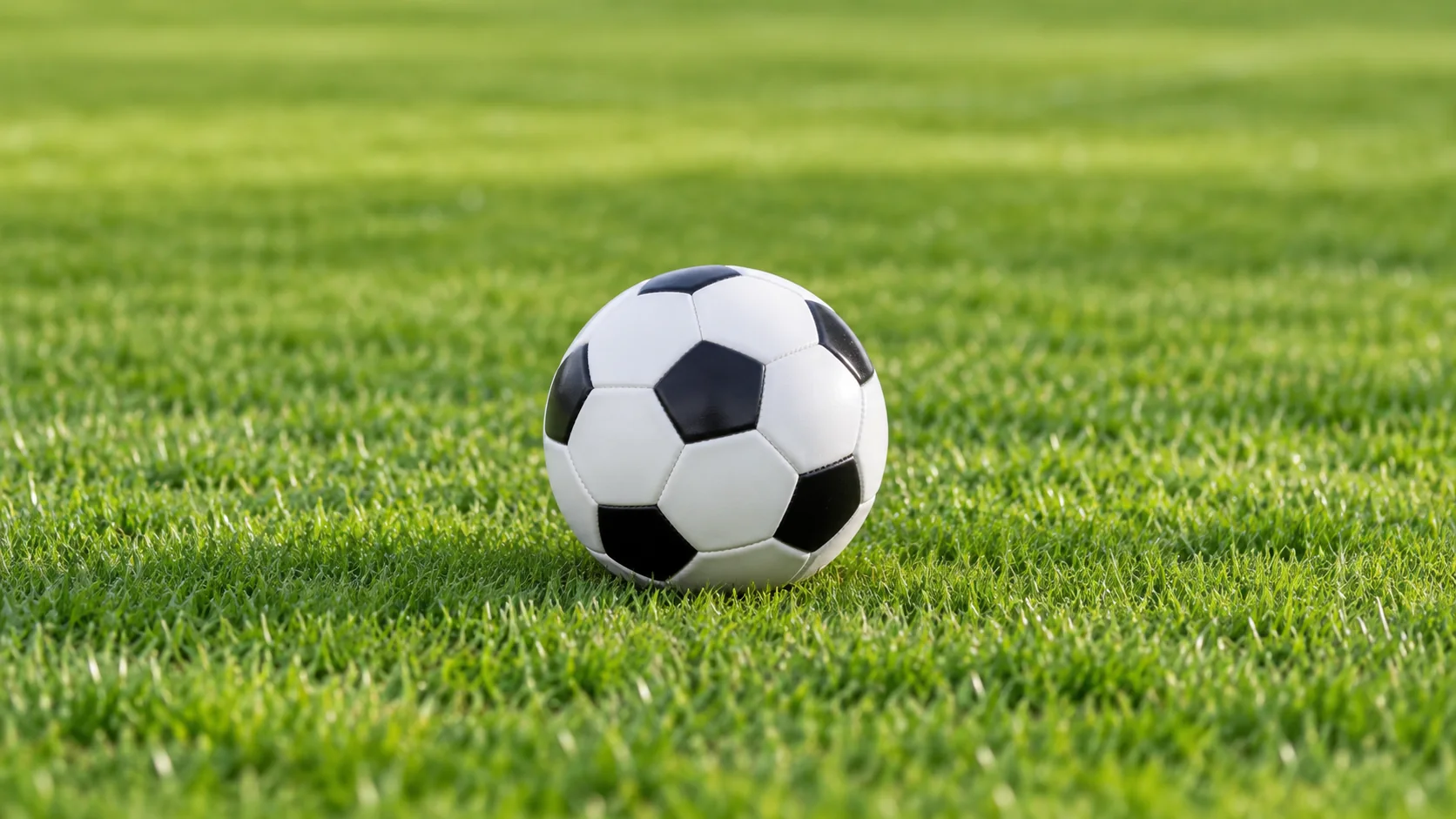 俄罗斯与比利时足球对决的战术分析与历史精彩瞬间回顾
